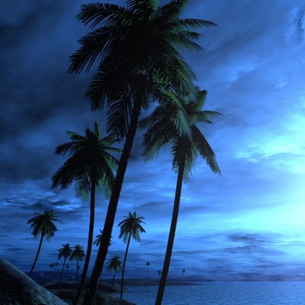 Meet your Posher, Kaye